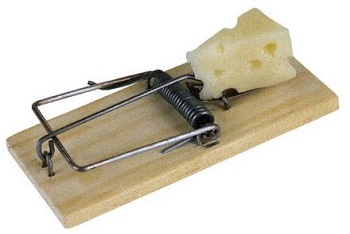 The Absolute Best Way to Set a Rat Trap